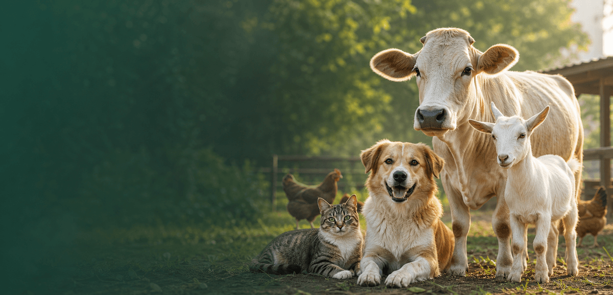 Dog, cat and farm animals