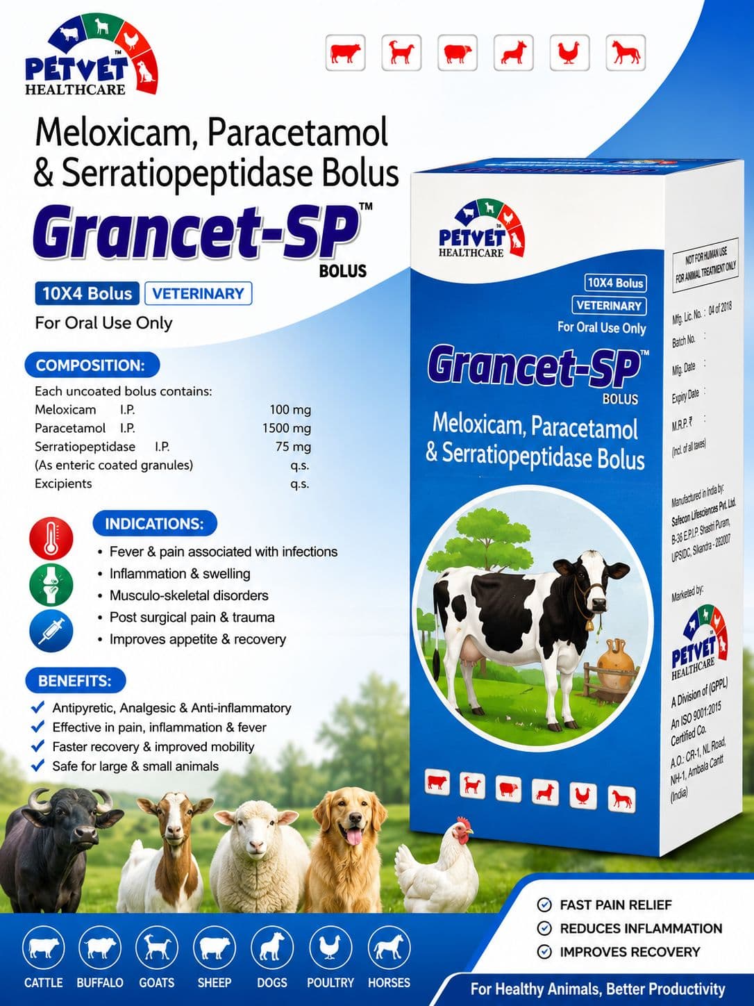 Grancet-SP Bolus (Meloxicam, Paracetamol & Serratiopeptidase - 2 Packs × 4 Boluses | 8 Boluses Total)