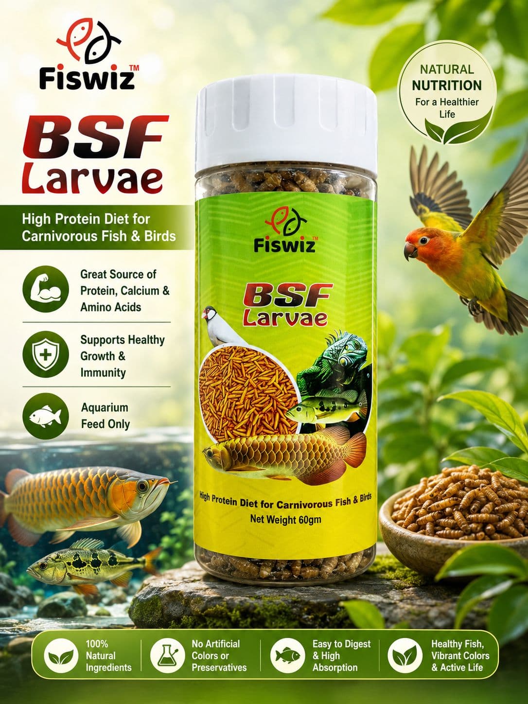 Fishwiz BSF Larva Mini (35g × 2 Packs | 70g Total)